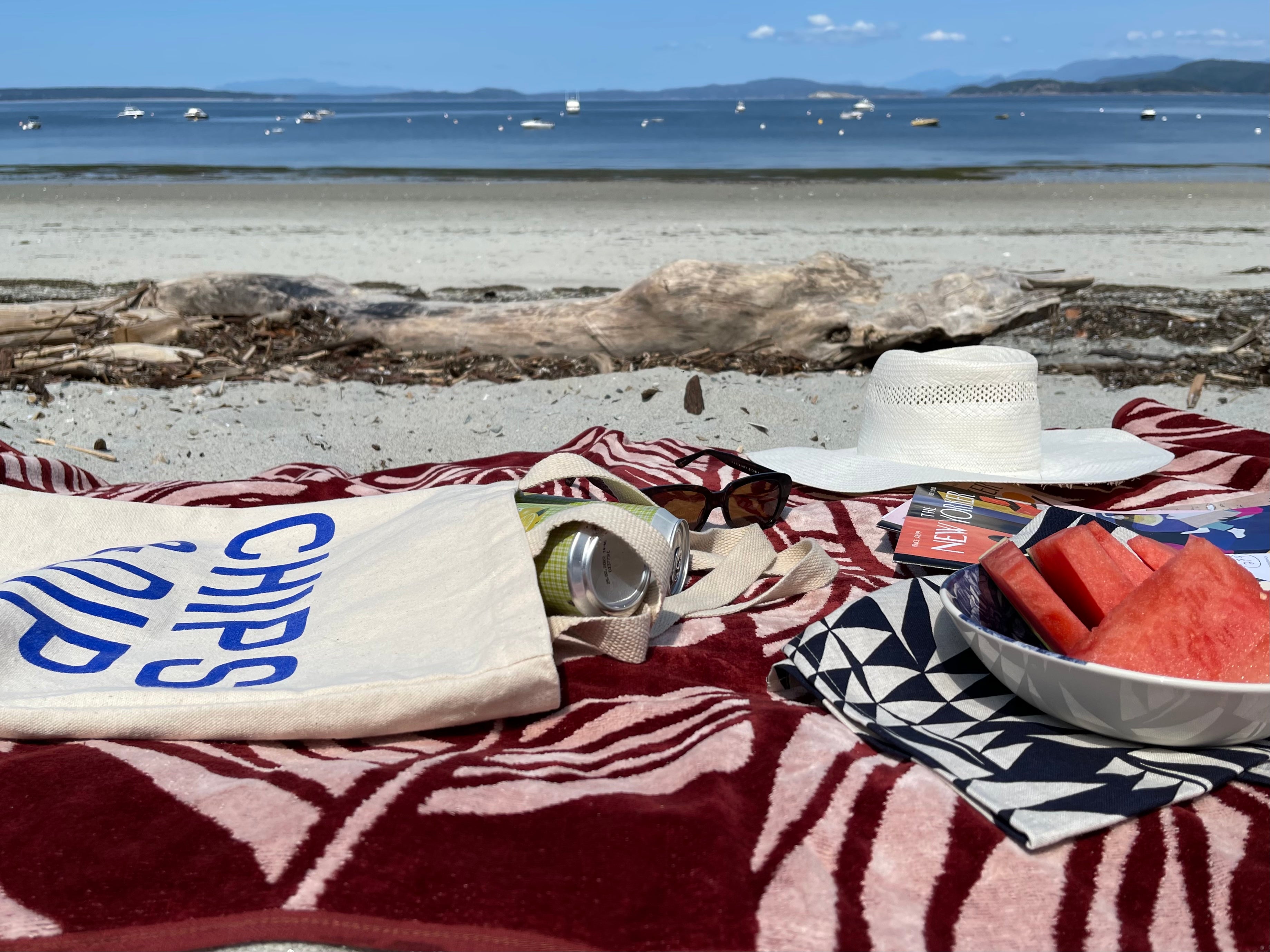 New Chips& Dip Tote Bag with World's Best Onion Dip Recipe