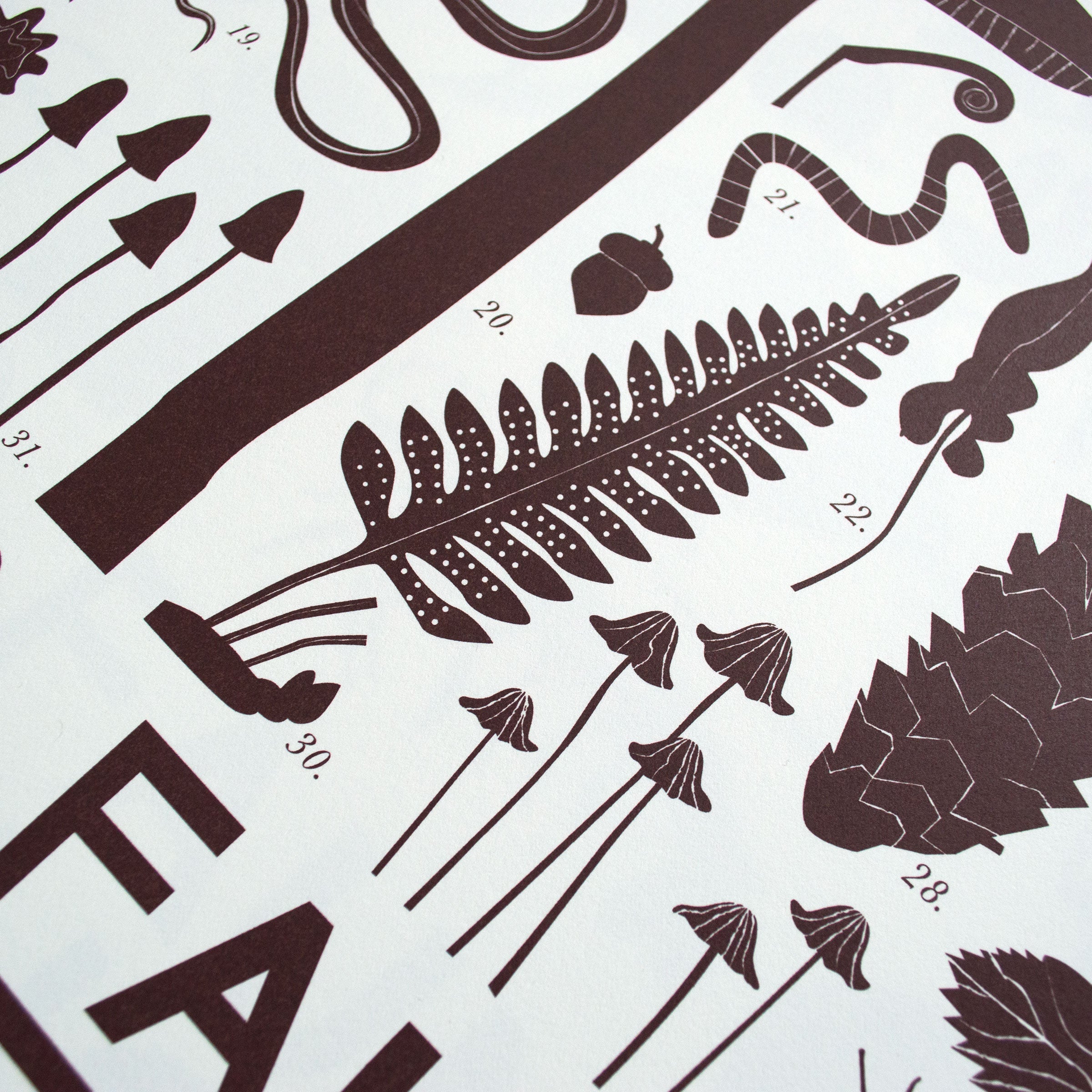 Forest Floor Art Print