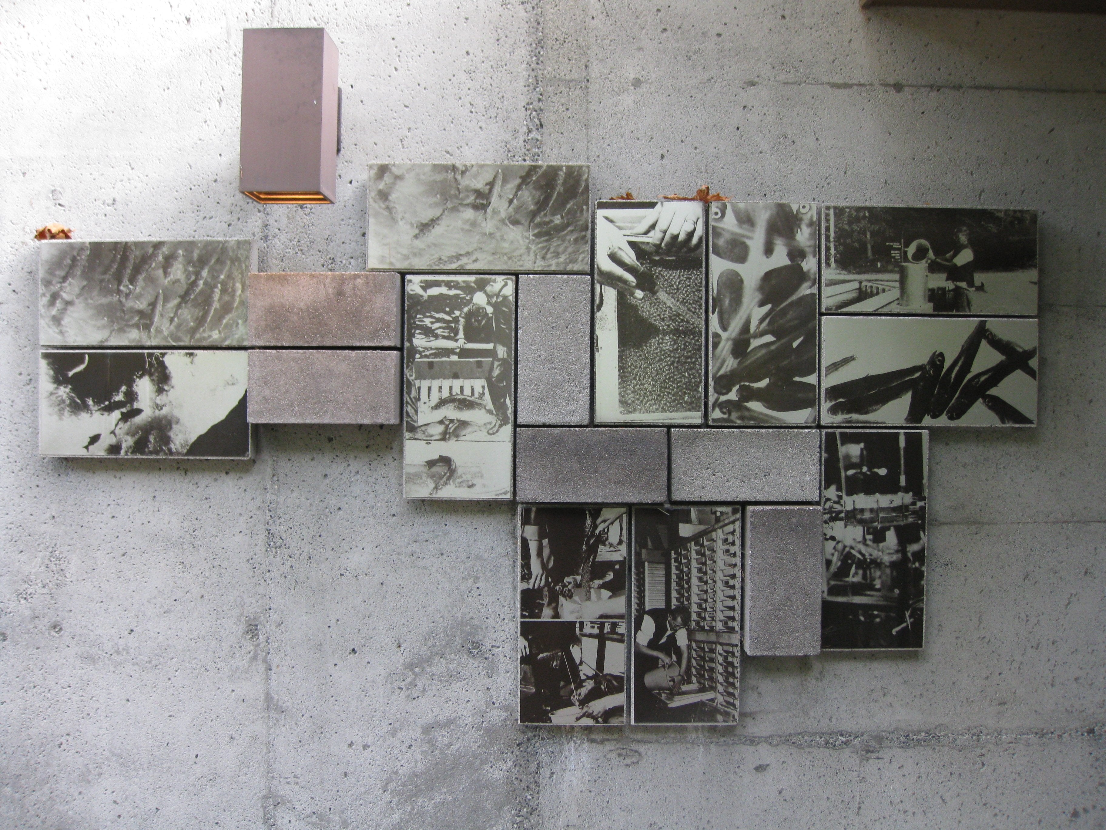 capilano fish hatchery