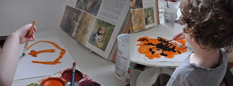 chasing tigers in red weather