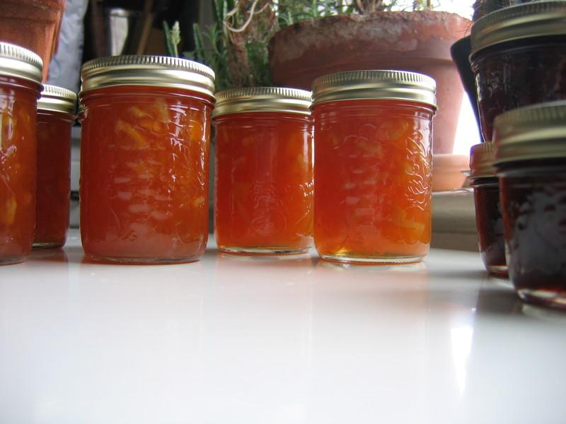 grapefruit and meyer lemon marmalade