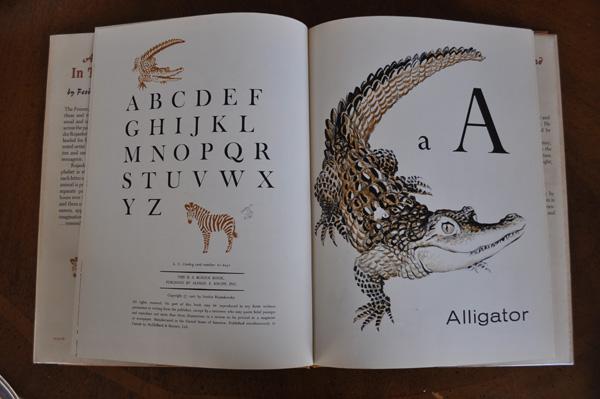 more feodor rojankovsky