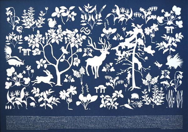 some flora and fauna of the southern boreal forest