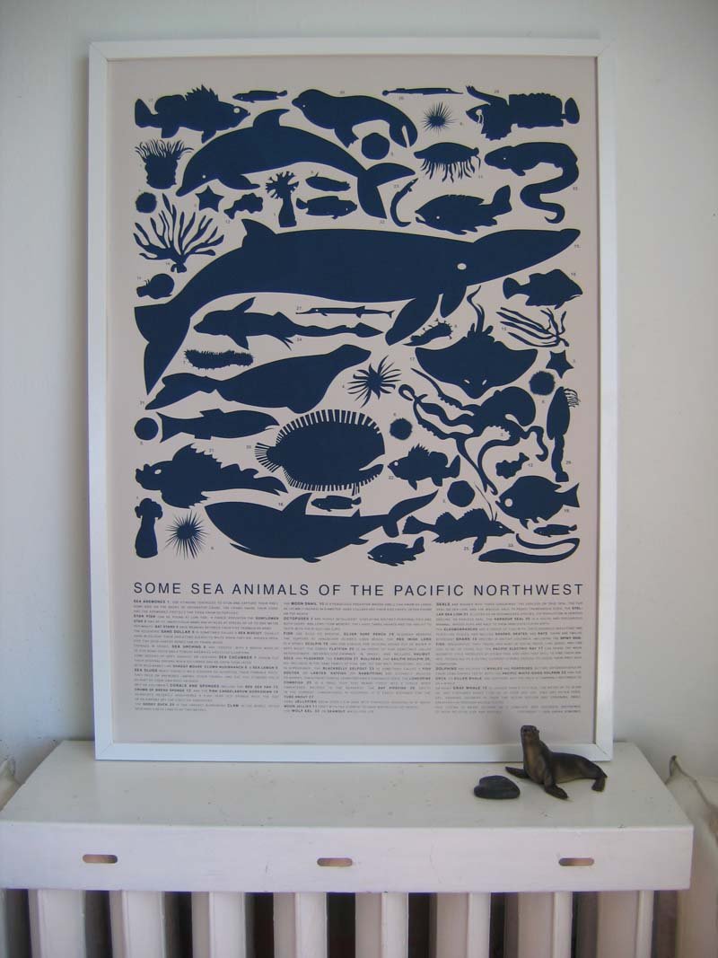 some marine animals of the pacific northwest