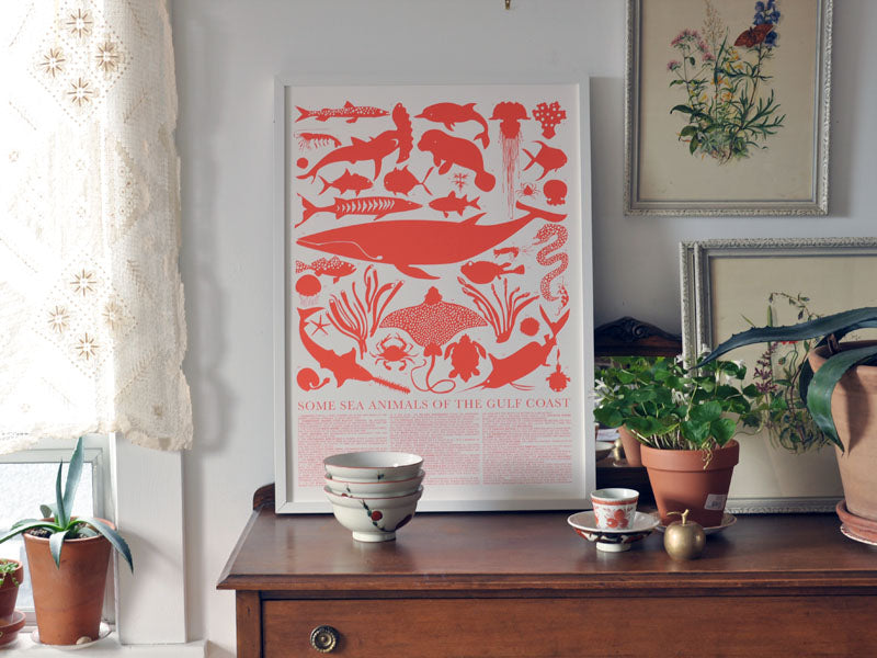 some sea animals of the gulf coast