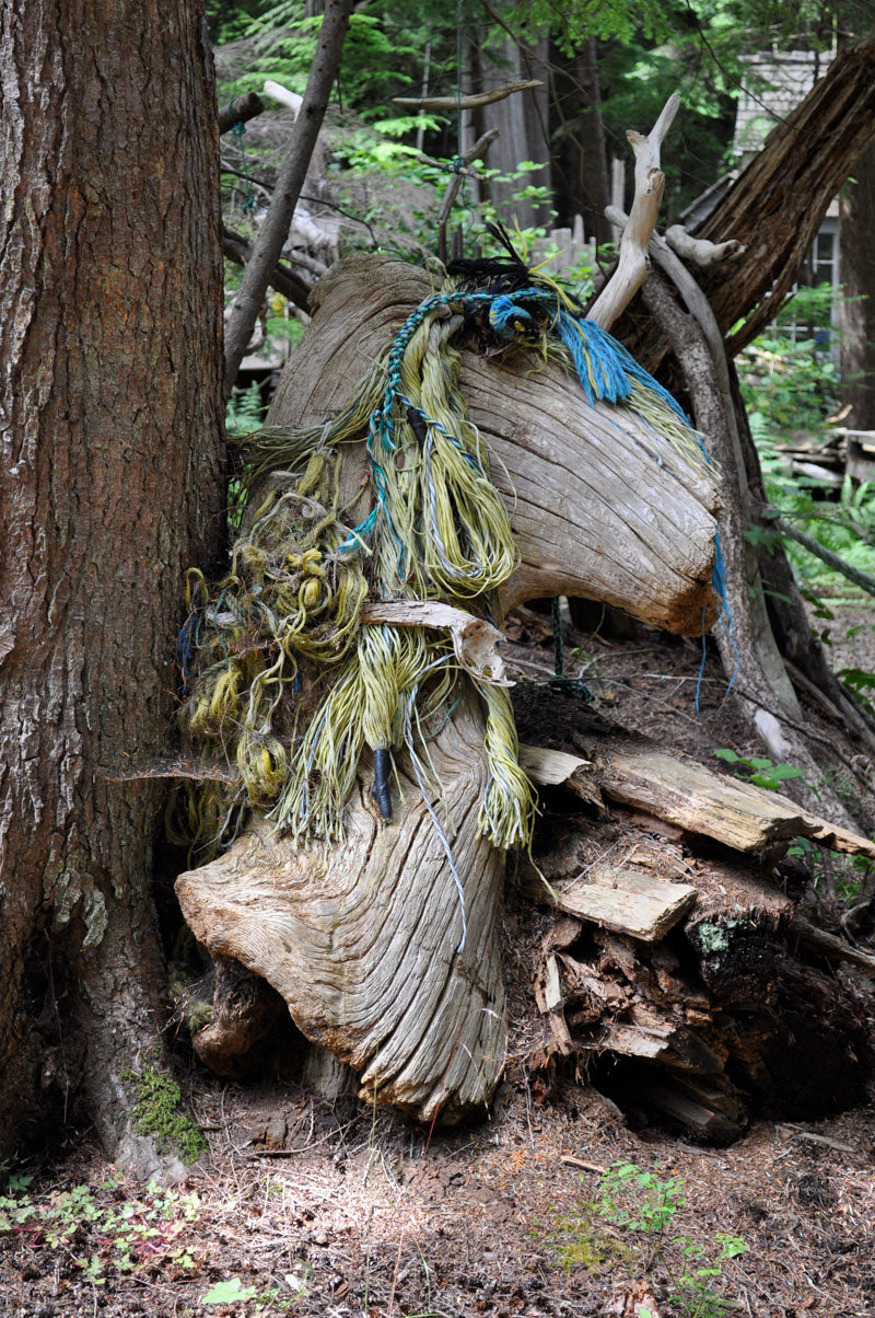 the unicorn and cyclops