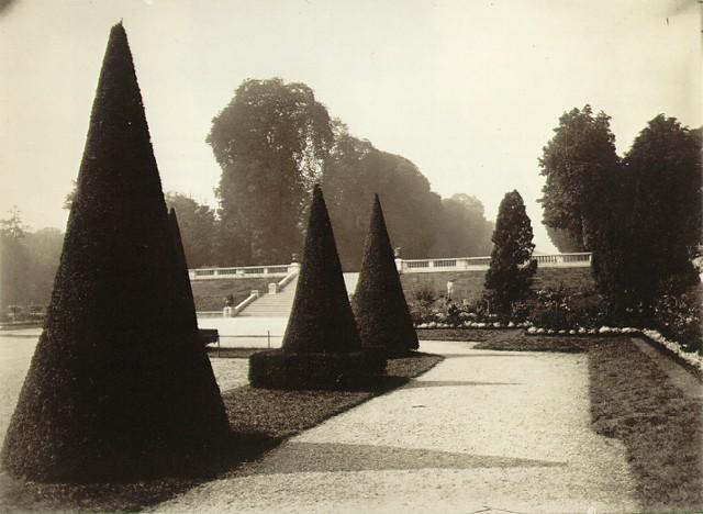 topiary
