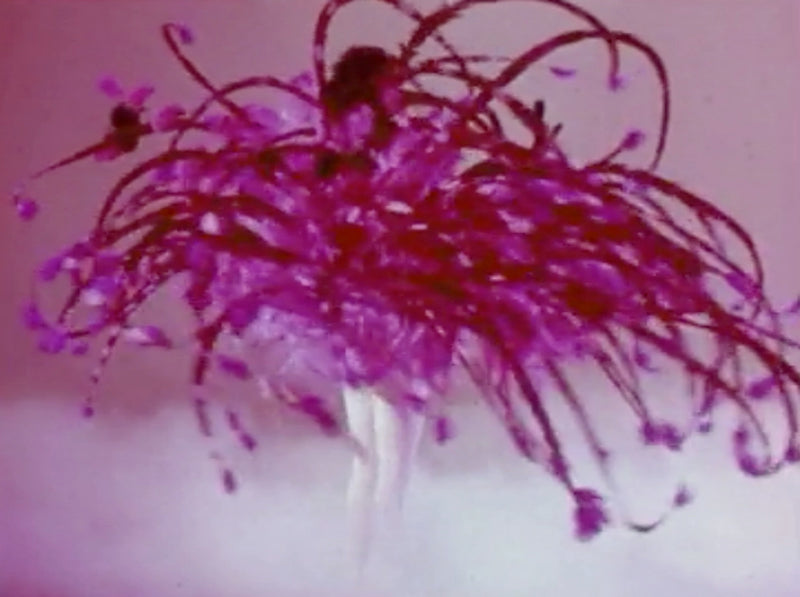 what my wardrobe is missing