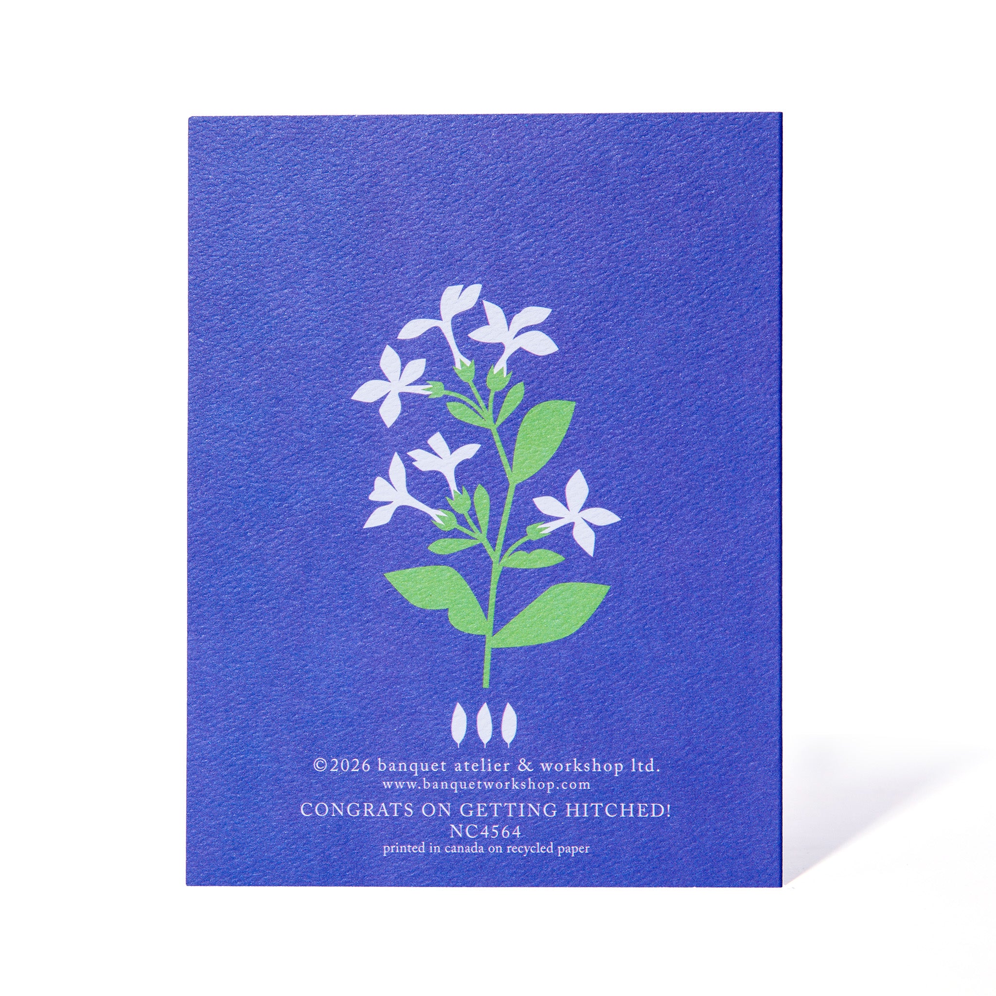 Congrats on Getting Hitched Wedding Note Card