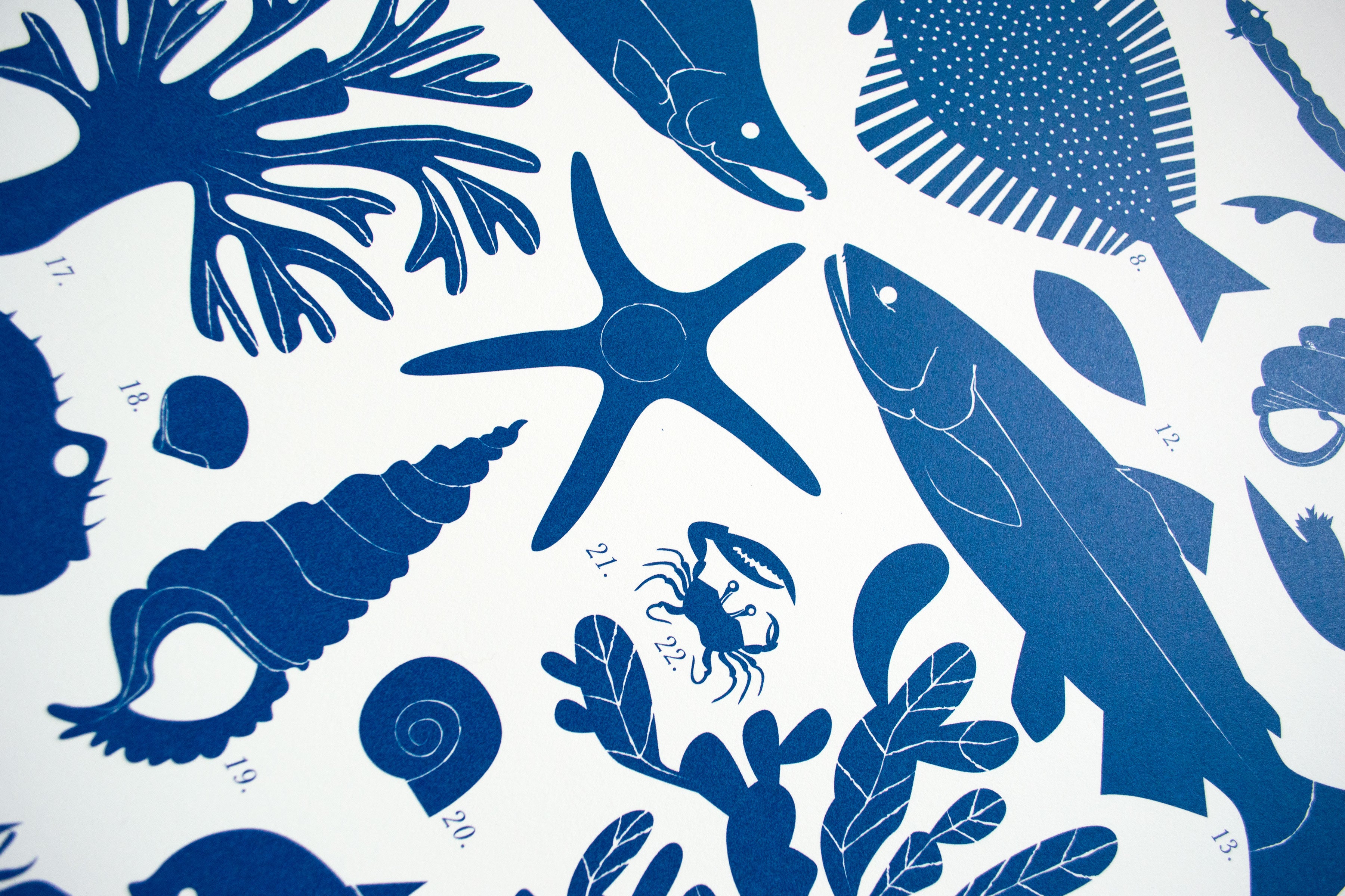 Flora & Fauna: Sea & Shore Screenprint