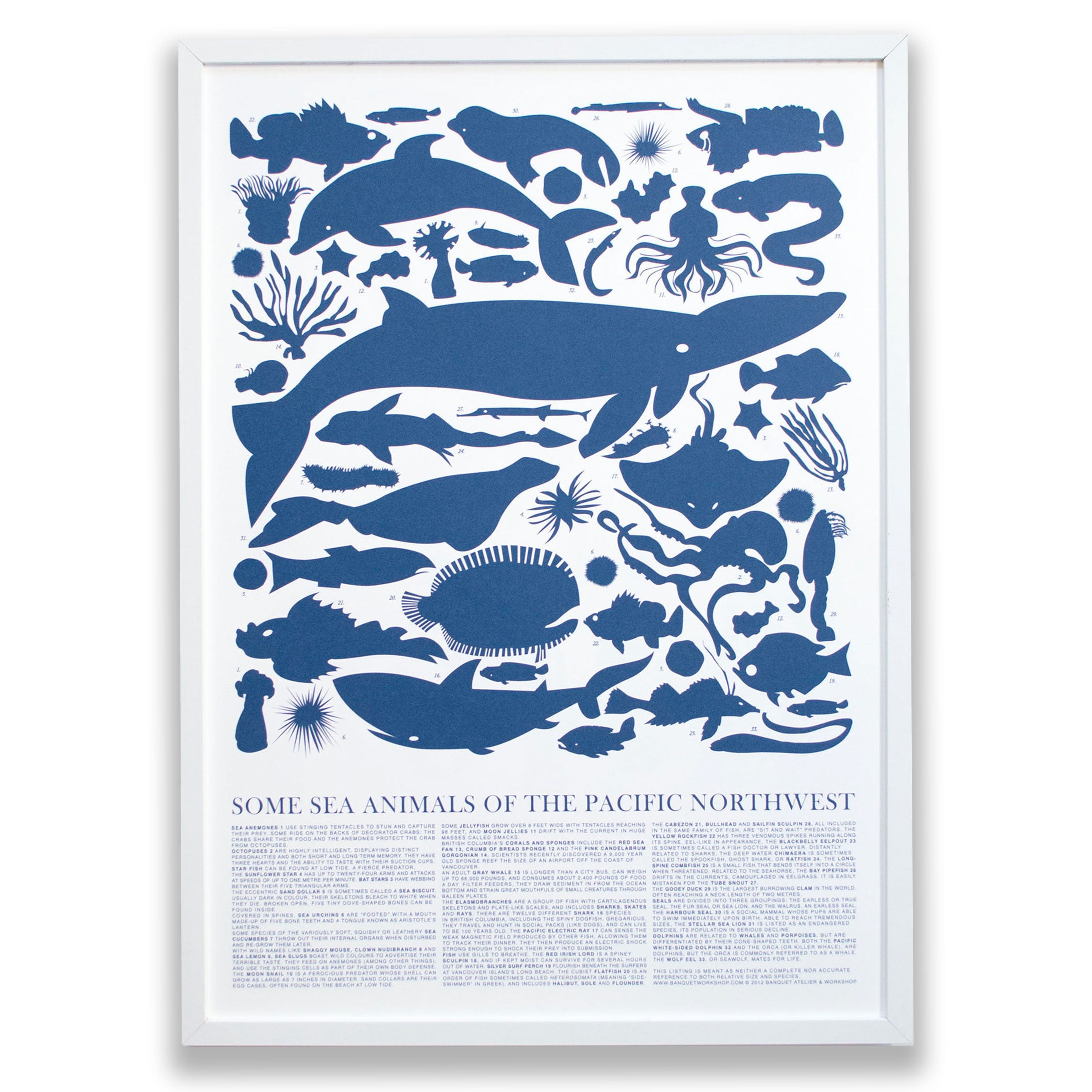PRINT - Blue Sea Animals of the Pacific Northwest Poster Edit alt text