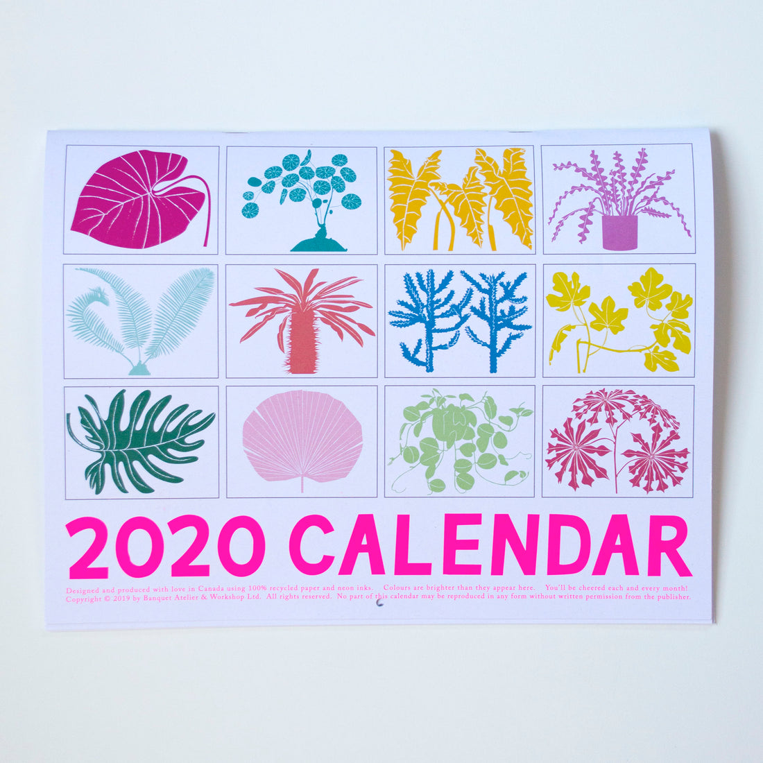 Back view of all twelve months of our 2020 Houseplants calendar