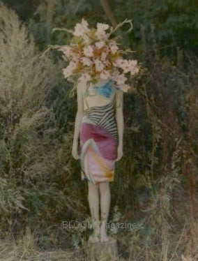 bloom magazine