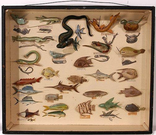 deep sea fish shadowbox
