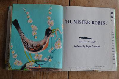 hi, mister robin!