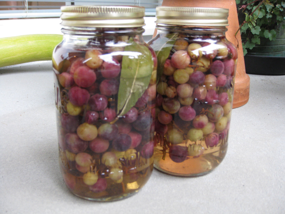 pickled zante grapes