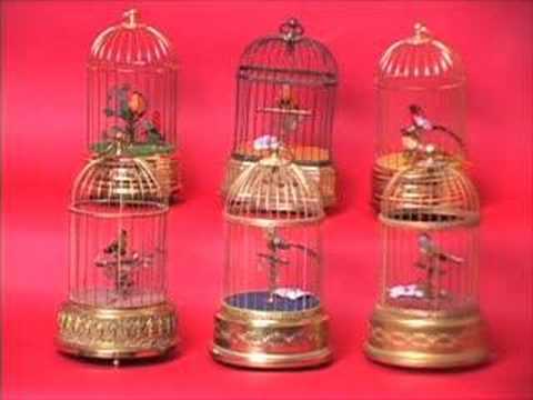 six bird cages in unison