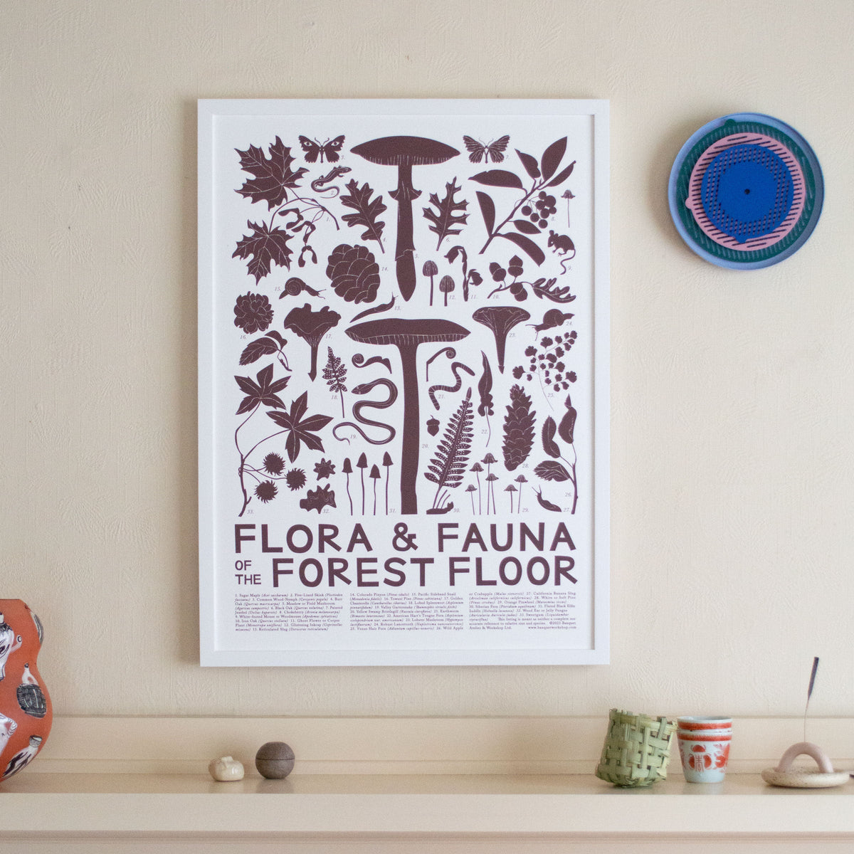 framed Art Print featuring mushrooms, autumn leaves, snails, moths and pinecones in chocolate brown on white hanging on wall 