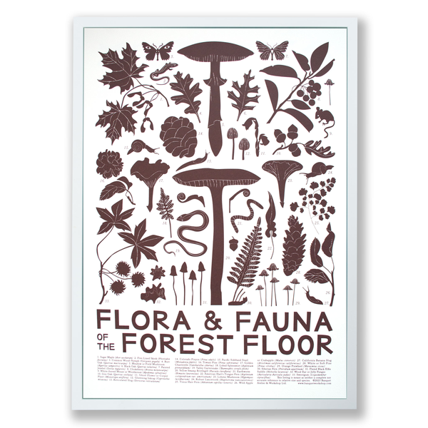 a poster with drawings of mushrooms and pinecones and autumn leaves, titled "Flora and Fauna of the Forest Floor"