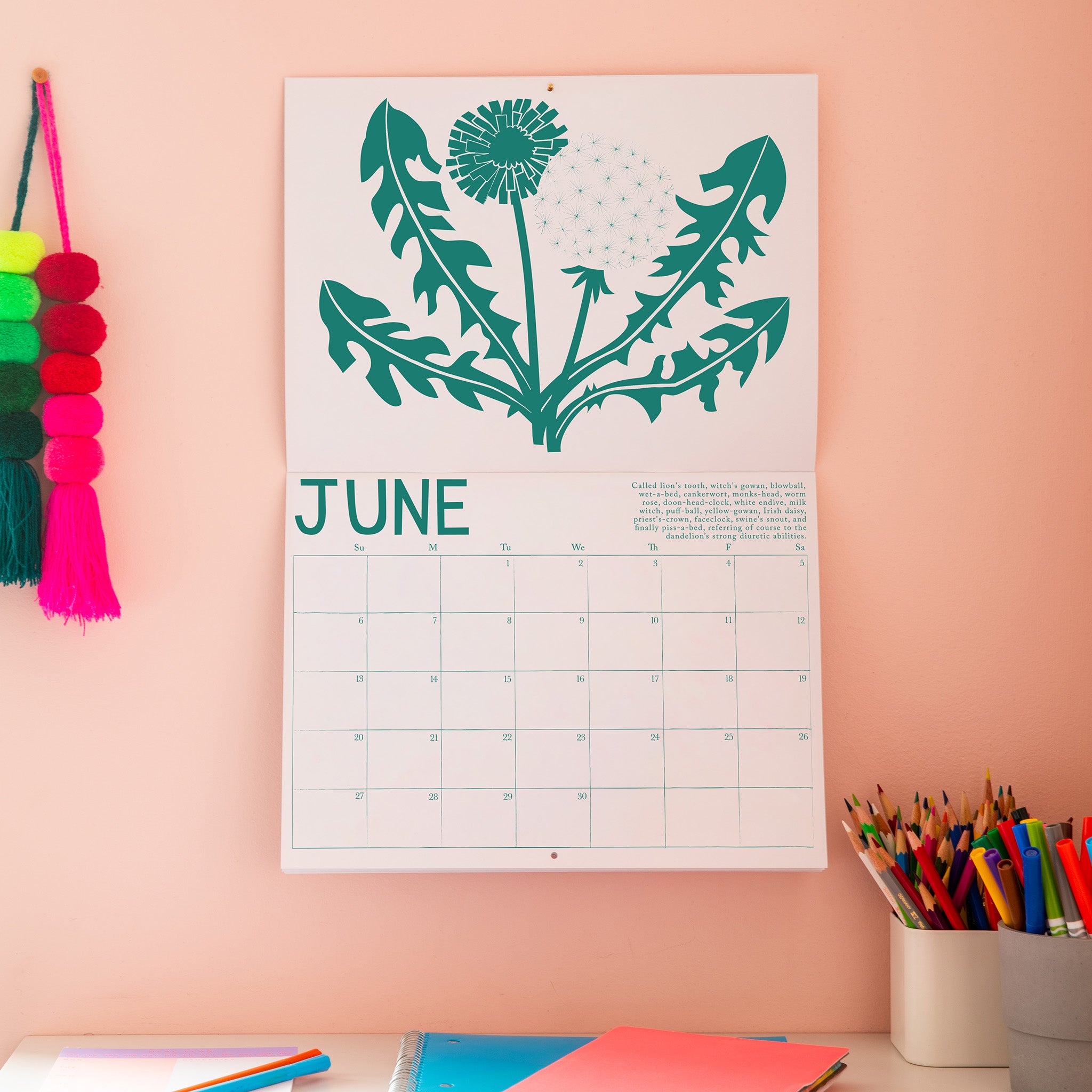 PRE-ORDER 2027 Calendar -Medicinal Plants