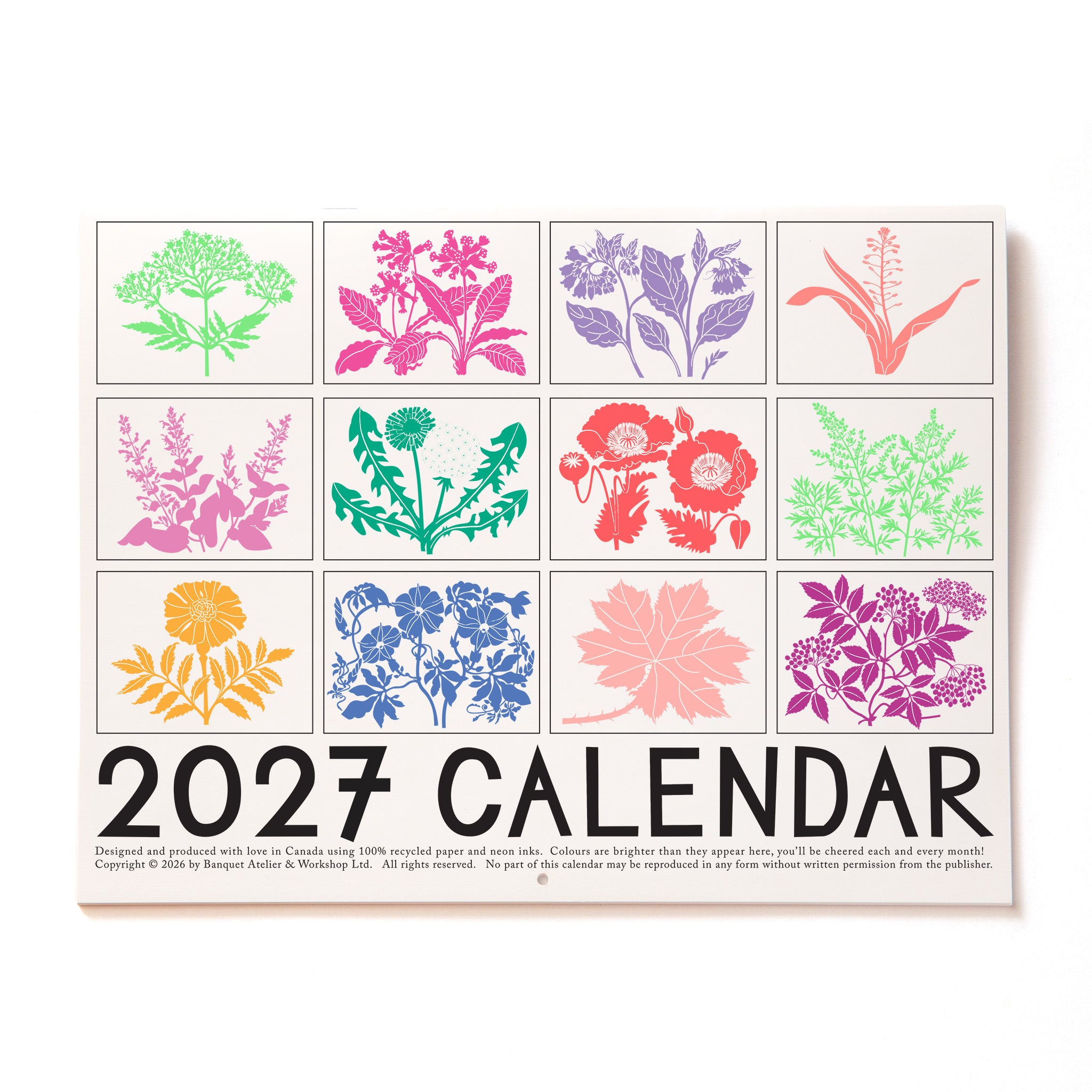 PRE-ORDER 2027 Calendar -Medicinal Plants
