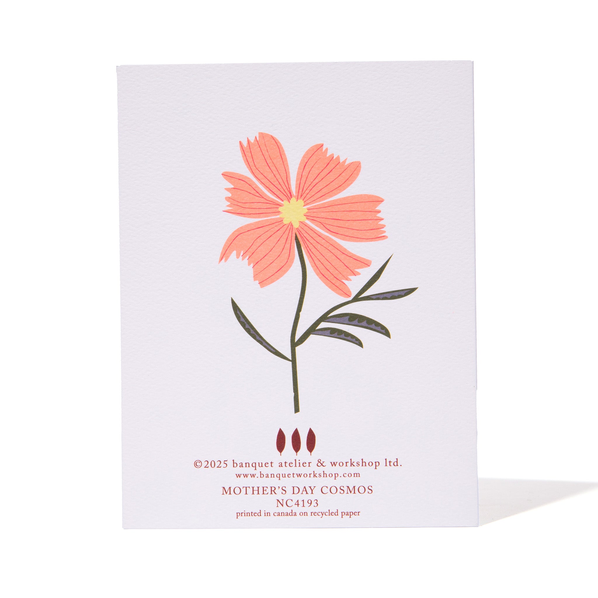 Mother's Day Cosmos Note Cards