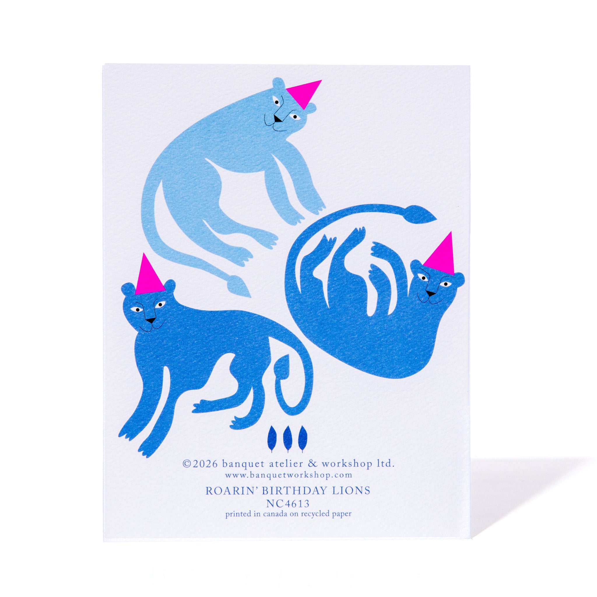 Roarin' Lions Birthday Note Card