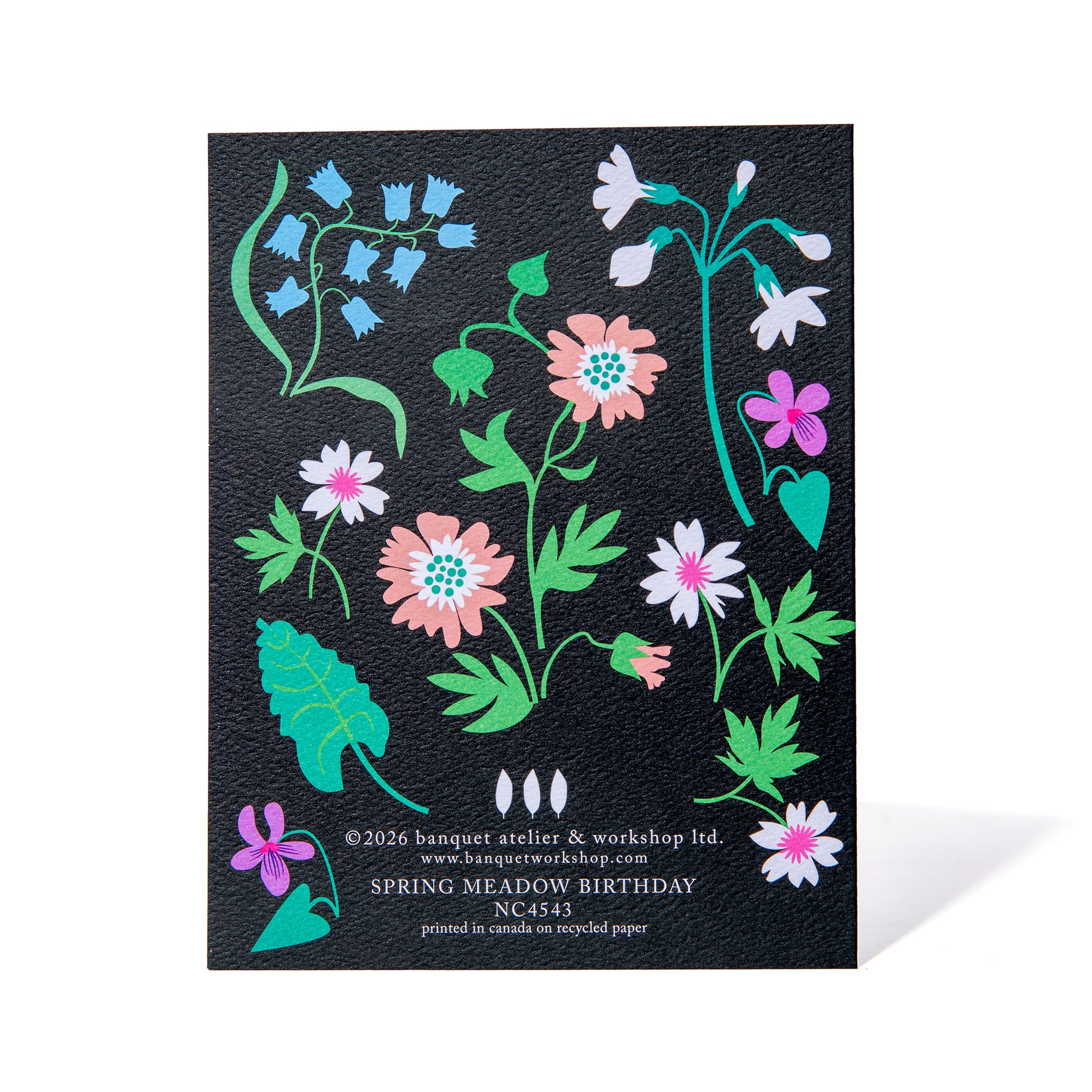 Spring Meadow Happy Birthday Note Card