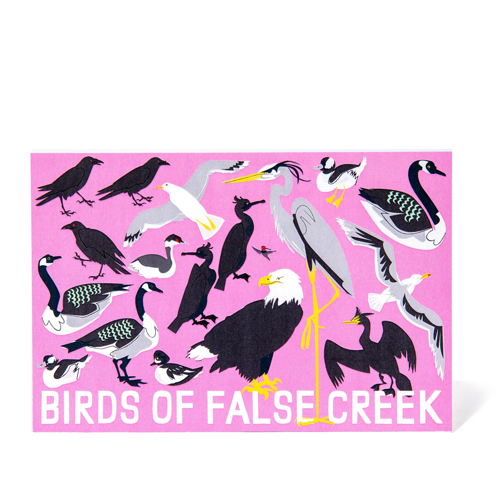Postcard - Birds of False Creek