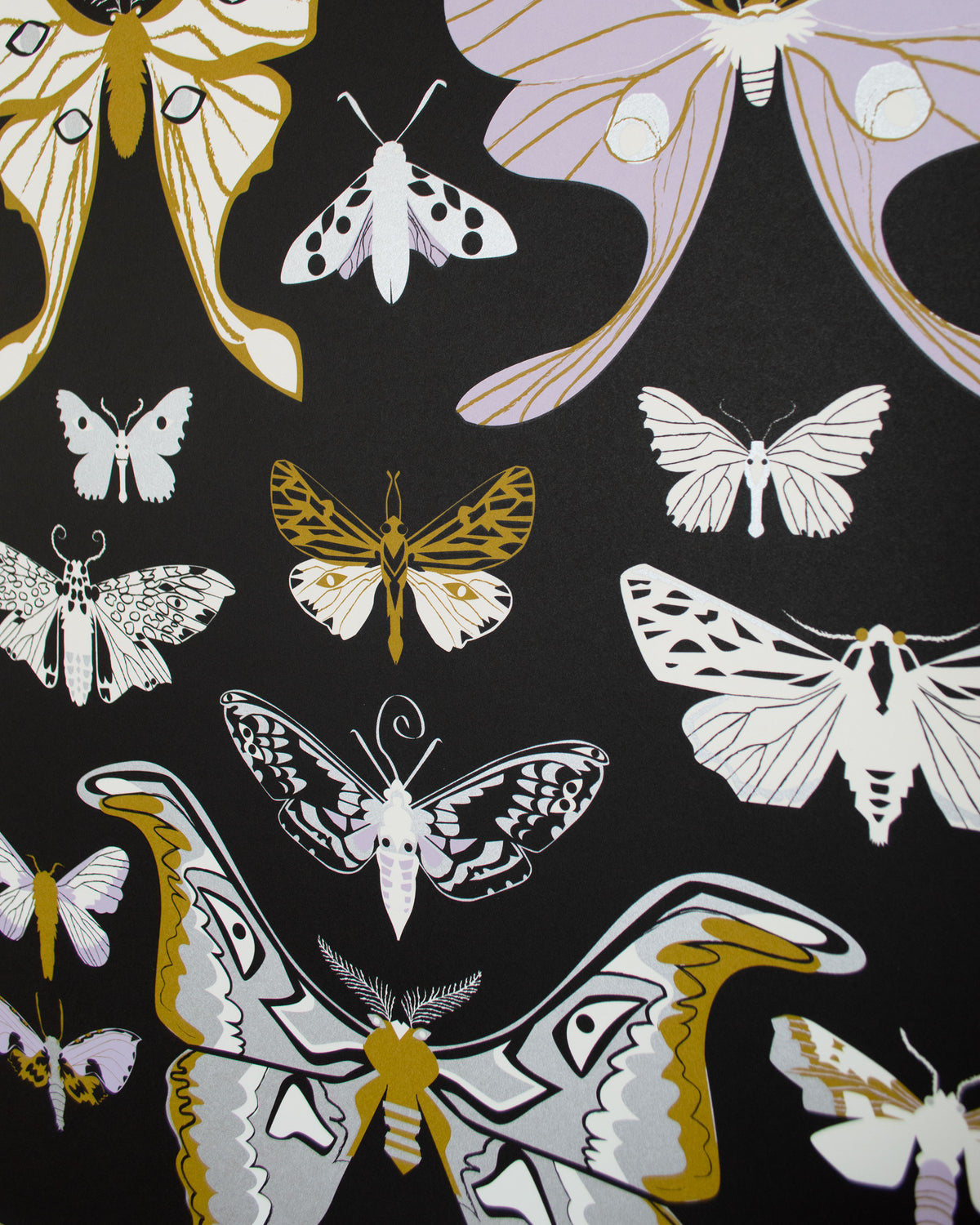 Moths Signed Poster