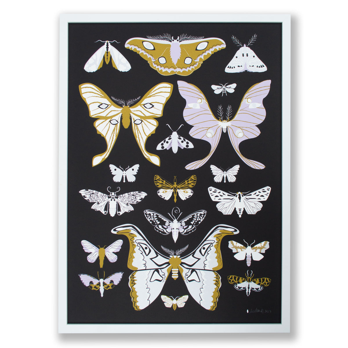 Moths Signed Poster