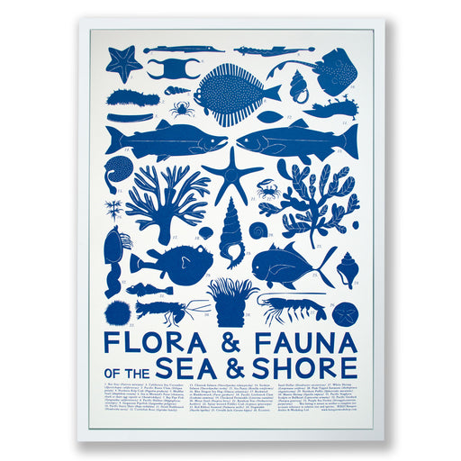 Screen printed poster with fish, shells, and seaweed