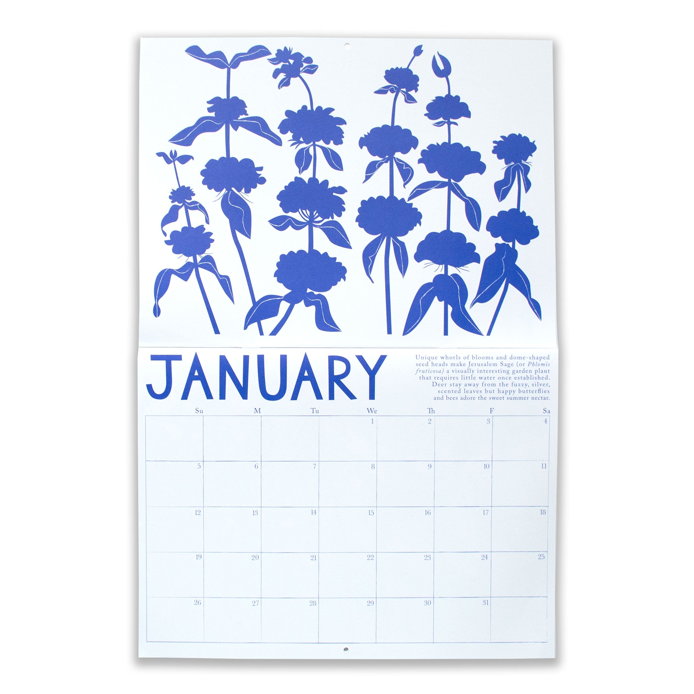 2025 Calendar - Drought Tolerant Plants!