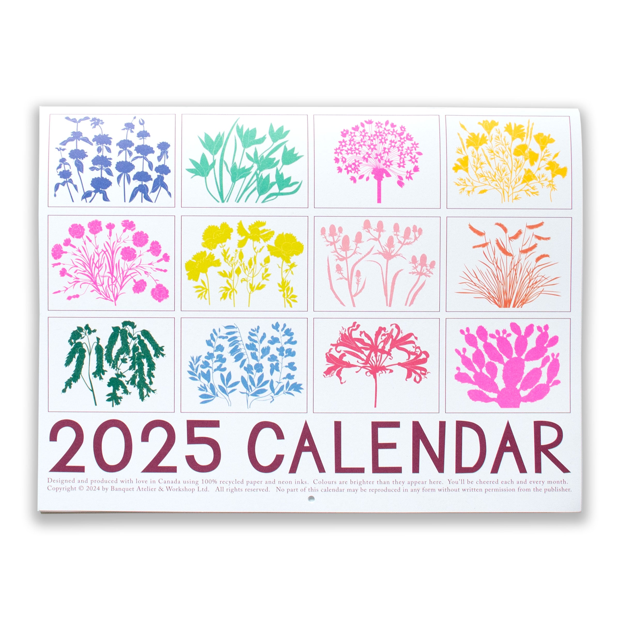 2025 calendar with vibrant illustrations of drought tolerant plants