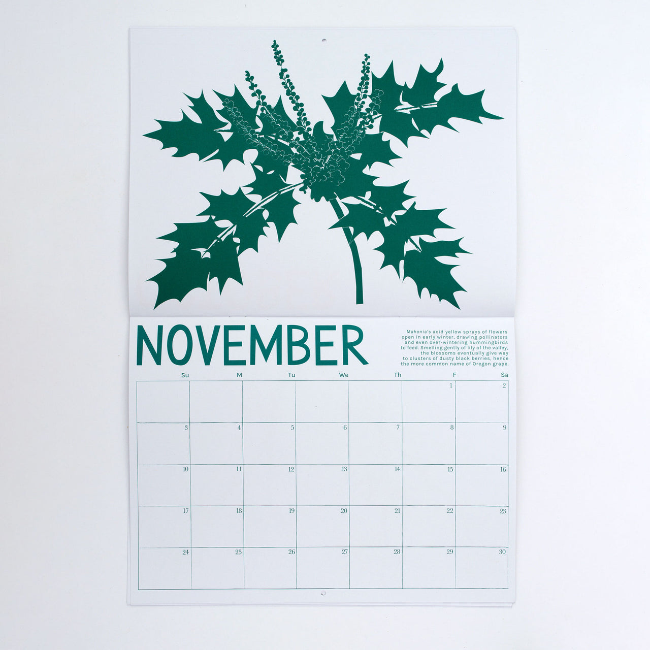 the month of november with dark green mahonia