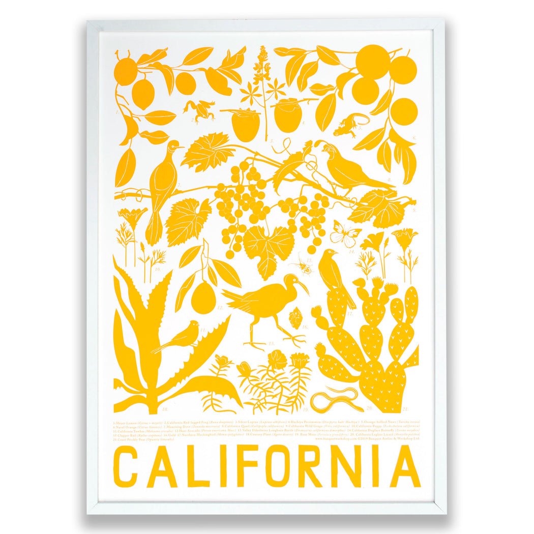 California Screen Print / Flora and Fauna of California / Plants and Animals from California
