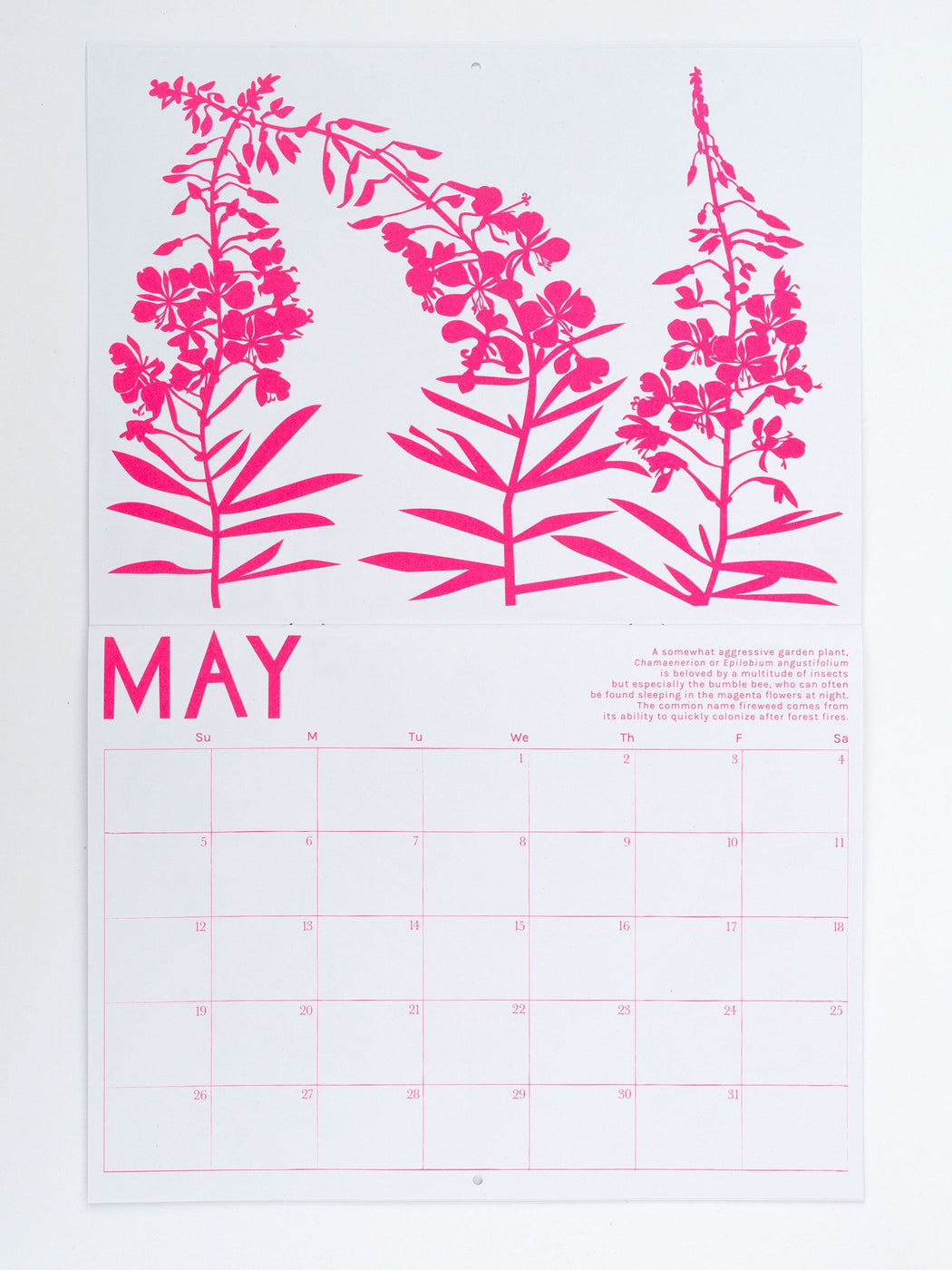 May features neon pink Fireweed